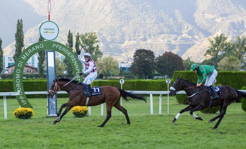 En plein straniero a Merano