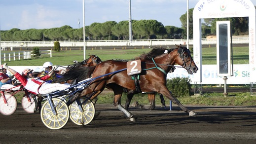 Un Tesoro di Turilli