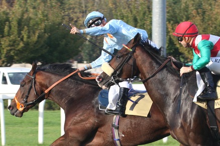 Italia-Europa finisce 1-2