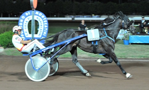 Ringostarr Treb riparte da Napoli