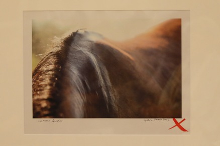 “Signore dell'Ippica” a Villa Miani