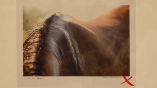 “Signore dell'Ippica” a Villa Miani