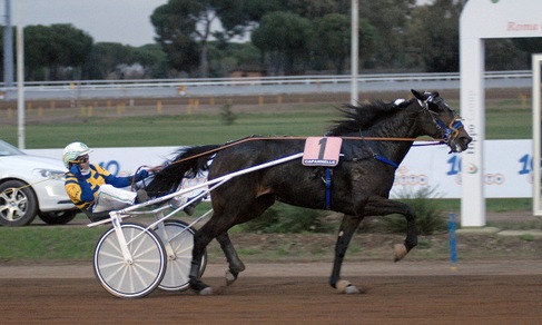 Niente Freccia per Radiofreccia