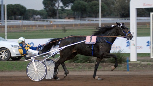 Niente Freccia per Radiofreccia