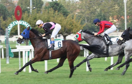 Solito St Leger alla tedesca