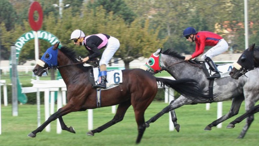 Solito St Leger alla tedesca