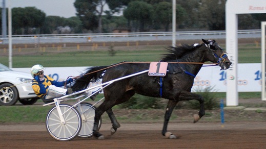 Radiofreccia regolarmente al via