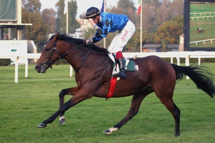 Dschingis Secret vince a spasso