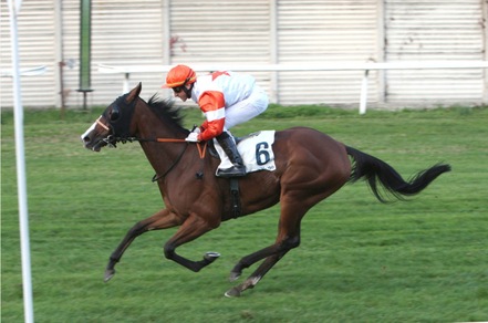 Chiusura all'Asta con Princess