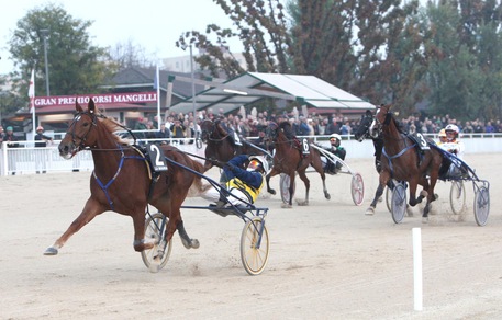 È Unicka anche nel Mangelli