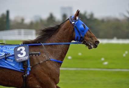 Timoko a caccia del record