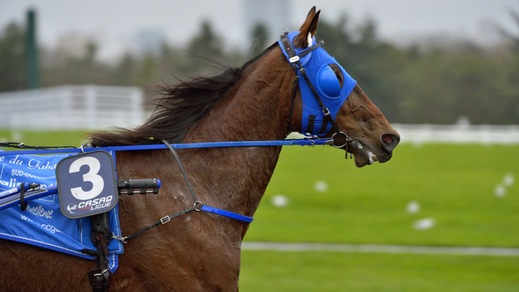 Timoko a caccia del record