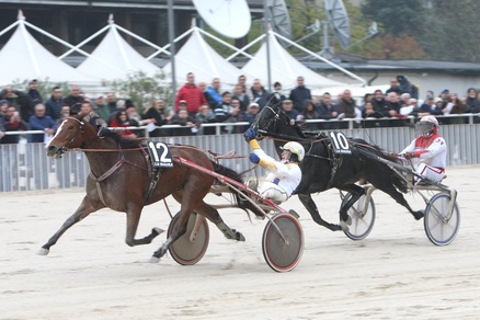 Il nuoto fa bene a Princess Grif