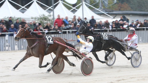Il nuoto fa bene a Princess Grif