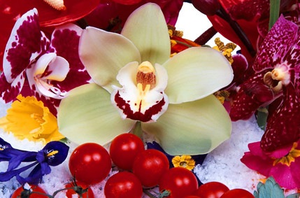 Con Love, al Chiostro del Bramante, l’arte incontra l’amore