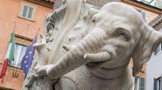 Roma, i vandali sfregiano l'Elefante in piazza della Minerva