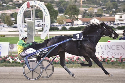 Gran Criterium, cercasi leader