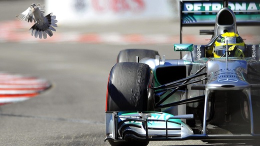 F1, Mercedes apre ironico casting: ecco l'annuncio di lavoro