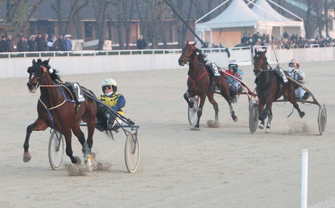 Il leader è Vampire Dany