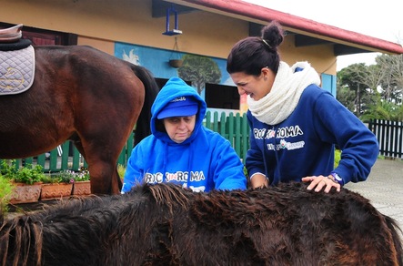 Sport e cavallo, veicoli sociali