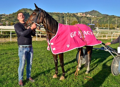 Classifiche 2016: sbanca Casillo