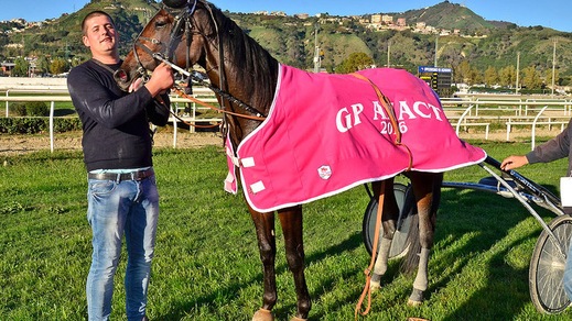 Classifiche 2016: sbanca Casillo