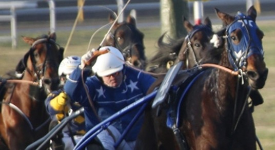 Occasione per Sharon Gar