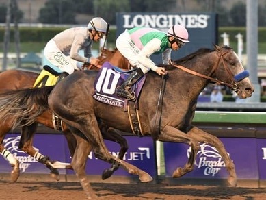Arrogate e Chrome, la rivincita