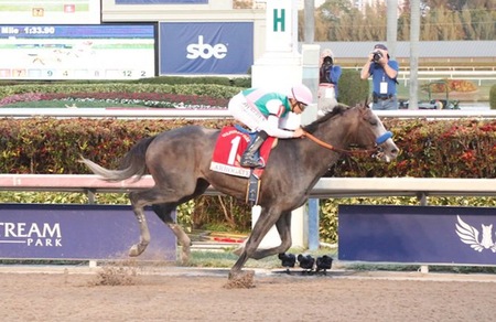 Arrogate, un vero show