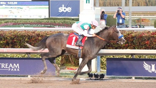 Arrogate, un vero show