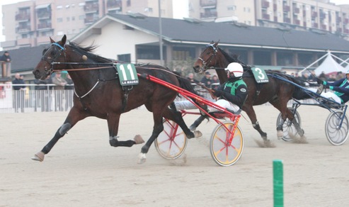 Tano Fohle Sm replica