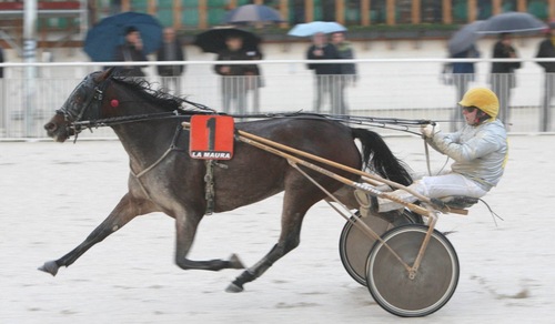 Tamure Roc, carte in regola