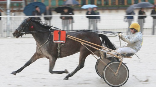 Tamure Roc, carte in regola