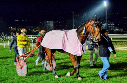 A Firenze si rivede Rania Lest