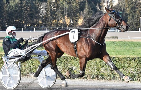Bellei, nono Ponte Vecchio