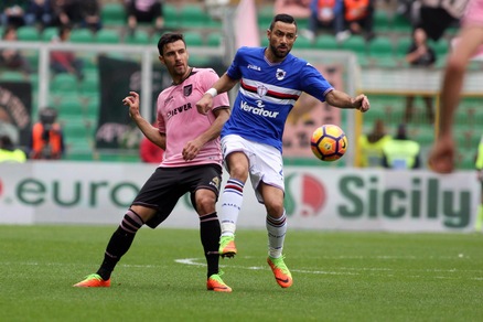 Serie A Palermo, Andelkovic: «La salvezza è possibile»