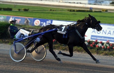 Ringostarr cerca il Treb...le