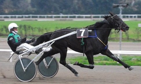 Torino riparte con un GP