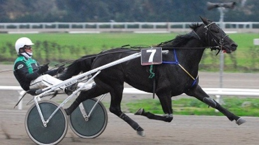 Torino riparte con un GP