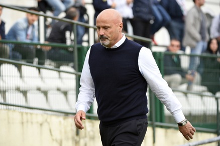 Serie B Bari, Colantuono squalificato per una giornata