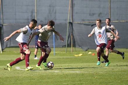 Serie A Torino, Mihajlovic dà un giorno di riposo ai nazionali