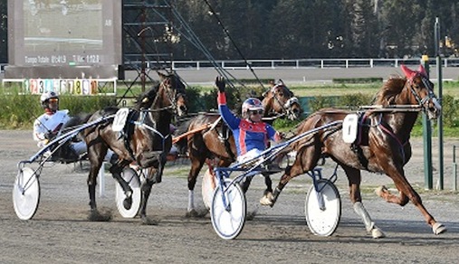 Vernissage Grif, prova di forza