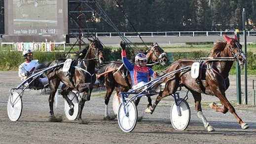 Vernissage Grif, prova di forza