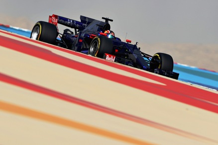 F1 Toro Rosso, Kvyat: «Lotteremo per i punti»