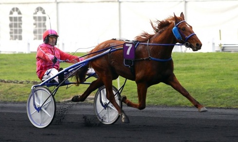 Dreammoko, adieu Europa