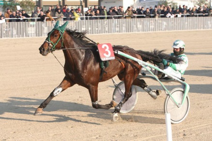 A Padova arriva un Vessillo