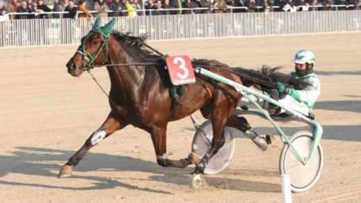A Padova arriva un Vessillo