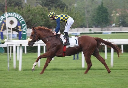 Un Ambrosiano in... Villa