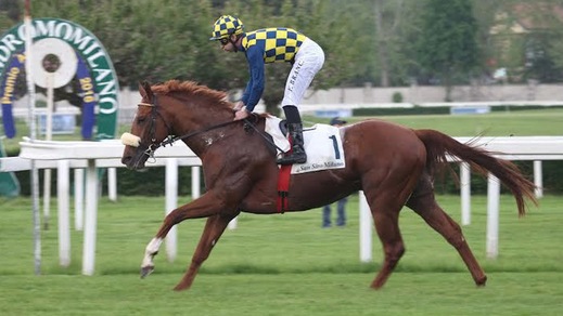 Un Ambrosiano in... Villa