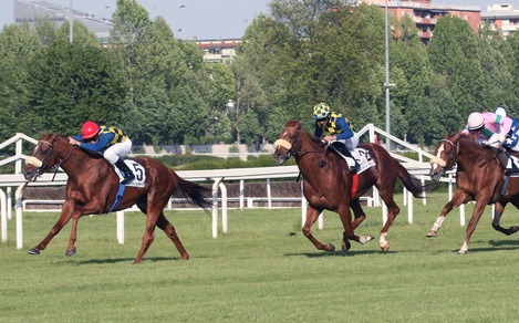 Voice of... Ambrosiano